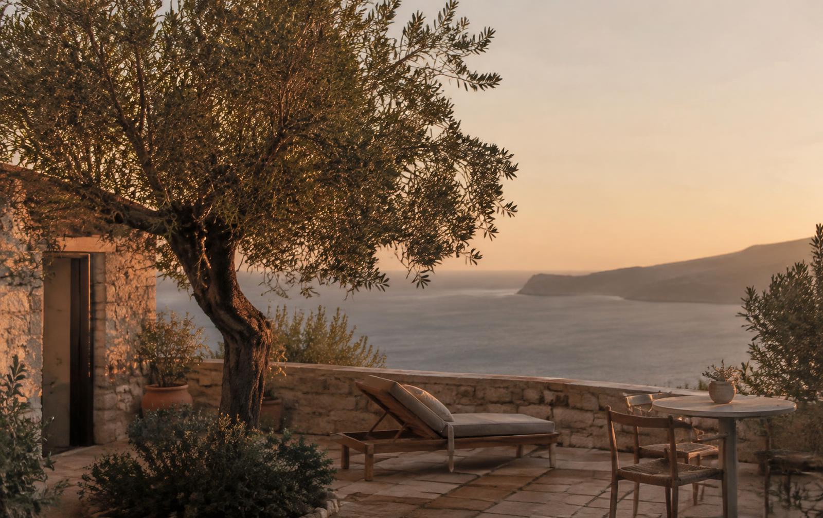 The Willow House concept website preview